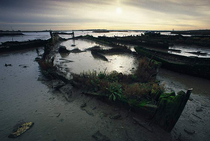 Maldon Boat Graveyard by Barry Freeman.jpg - Maldon Boat Graveyard by Barry Freeman ARPS